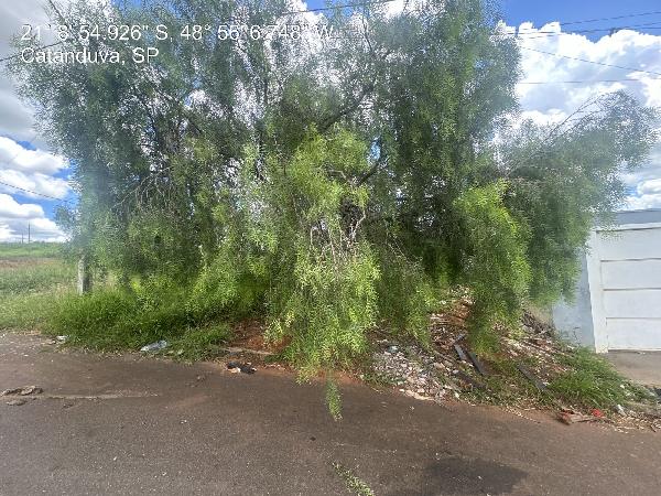 Terreno - Venda, RESIDENCIAL DOS IPES, CATANDUVA, SP