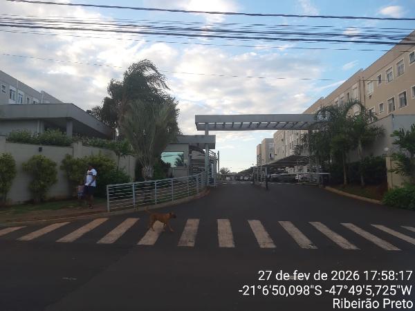 Apartamento - Venda, JARDIM HEITOR RIGON, RIBEIRAO PRETO, SP